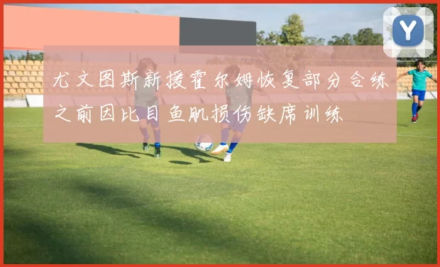 尤文图斯新援霍尔姆恢复部分合练之前因比目鱼肌损伤缺席训练